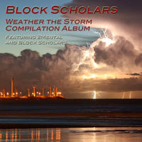 Weather the Storm by Block Scholars