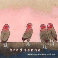 The Shapes That Shift Us by Brad Senne