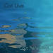 Go to artist home page