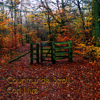 Countryside Stroll by Cari Live