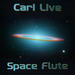 Go to artist home page