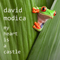[My Heart Is A Castle by David Modica]