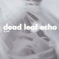 Truth by Dead Leaf Echo