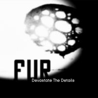 Devastate the Details by FUR