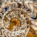 Go to artist home page
