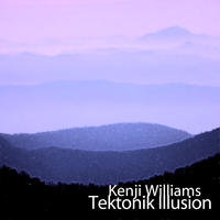 Tektonik Illusion by Kenji Williams