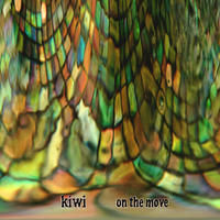 On the Move by Kiwi