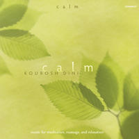 Calm by Kourosh Dini