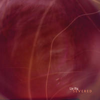 Severed by Lie Big