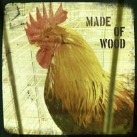 Birds of the State Fair by Made of Wood
