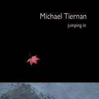 Jumping In by Michael Tiernan