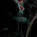 Go to artist home page