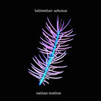 Bellwether, Arbutus by Nathan Mathes