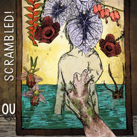 Scrambled by Ou