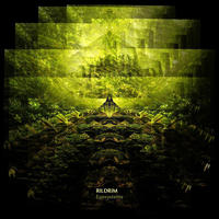 Ecosystems by Rildrim