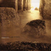 Temple of the Invisible by Robert Rich