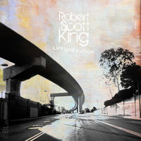 [Life Like Fiction by Robert Scott King]