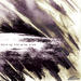 Go to artist home page