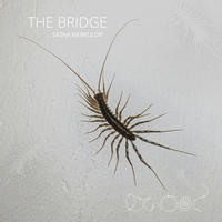 The Bridge by Sasha Merkulov