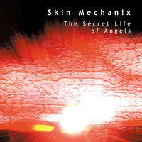 The Secret Life of Angels by SkinMechanix