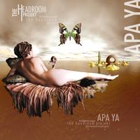 Apa Ya by The Headroom Project