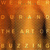 The Art Of Buzzing by Werner Durand